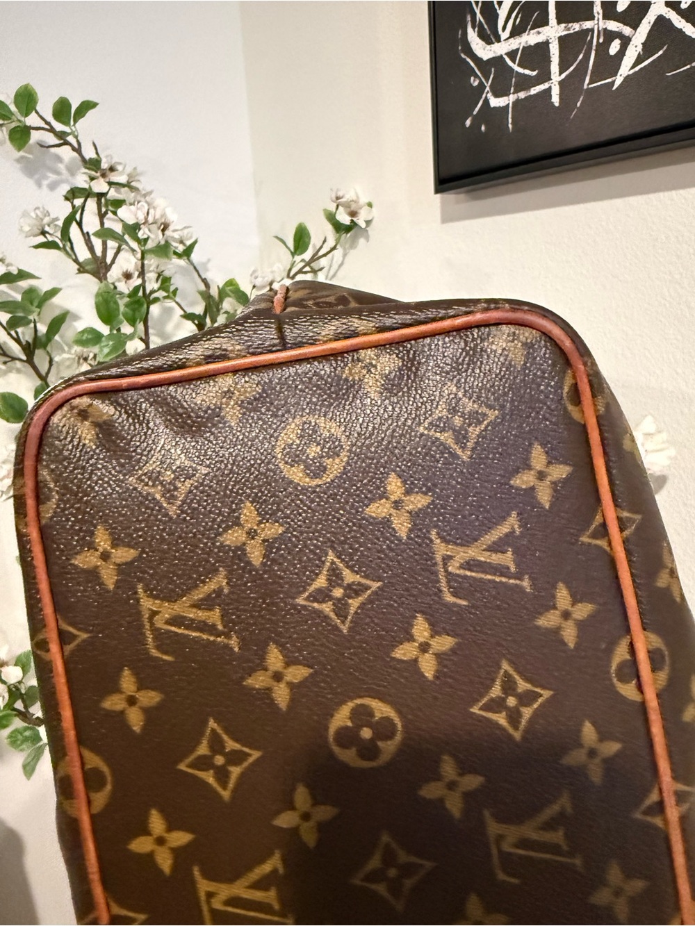 LV Palermo Pm - Picture 7 of 13